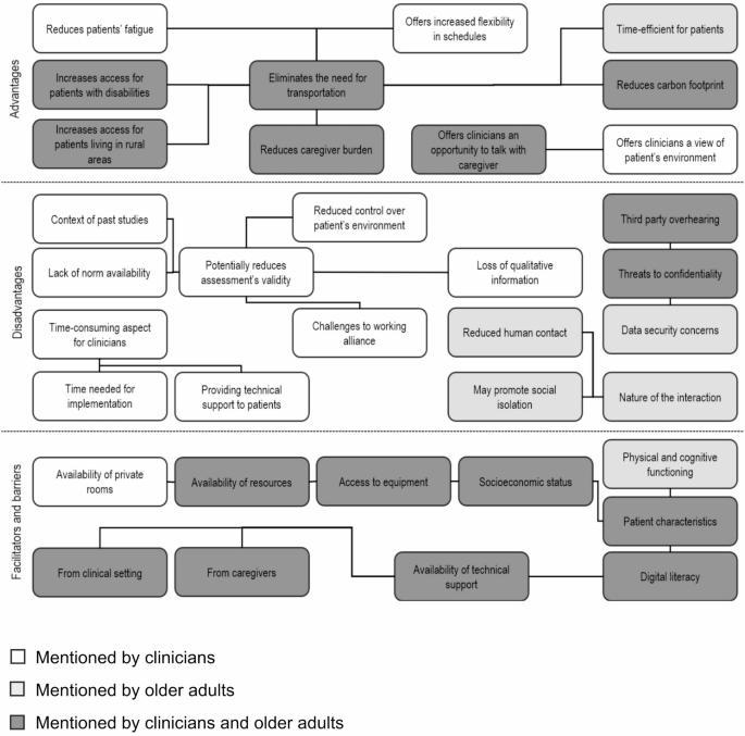 Perceptions of clinicians and older adults regarding telehealth in ...