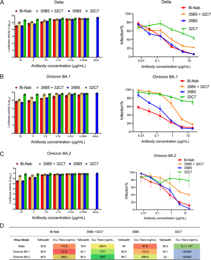 IgG-like bispecific antibodies with potent and synergistic neutralization  against circulating SARS-CoV-2 variants of concern