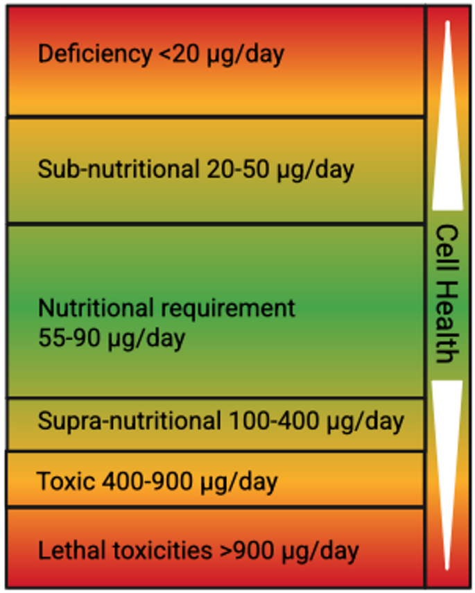 recommended dosage of glutathione per day What is the maximum dose (glutathione) day? Glutathione: Benefits and Supplements