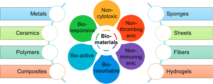 tissue engineering essay figure 2