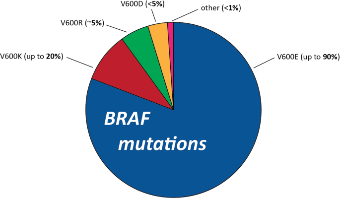 Machine learning enabled elucidation of novel BRAF V600E inhibitors for ...