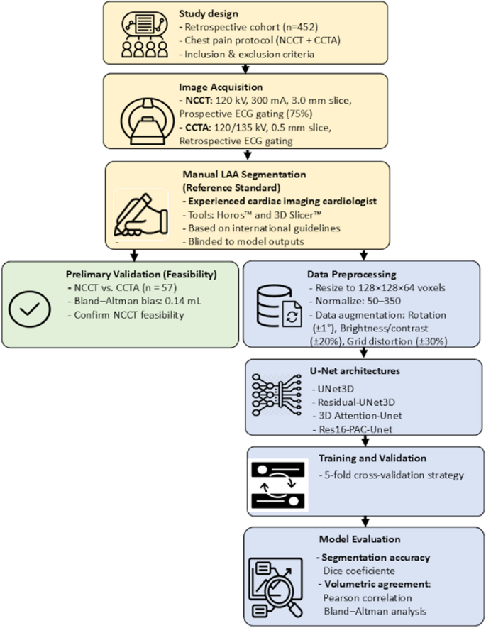 Deep learning models for segmentation and quantification of left atrial ...
