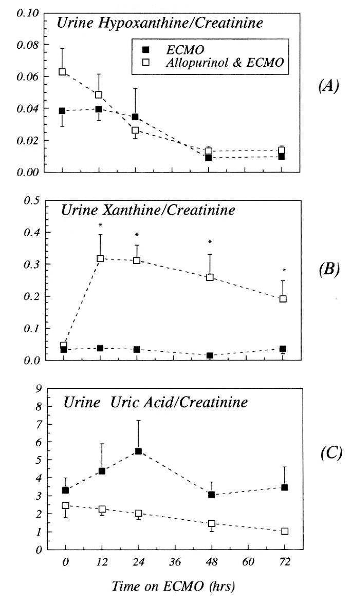 The Office Ending Explained: What Happened To The Characters After The  Documentary, image size:685x1178