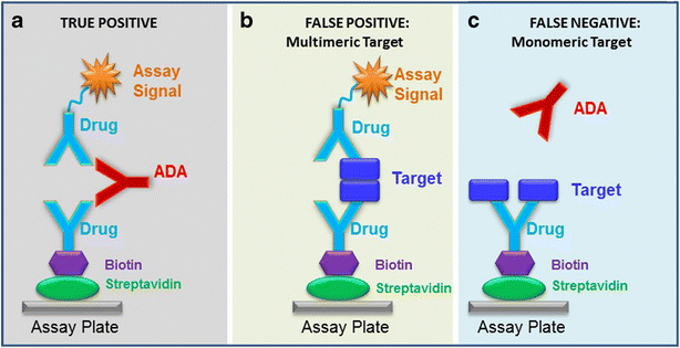 Drug Target Interference In Immunogenicity Assays Recommendations And Mitigation Strategies Springerlink