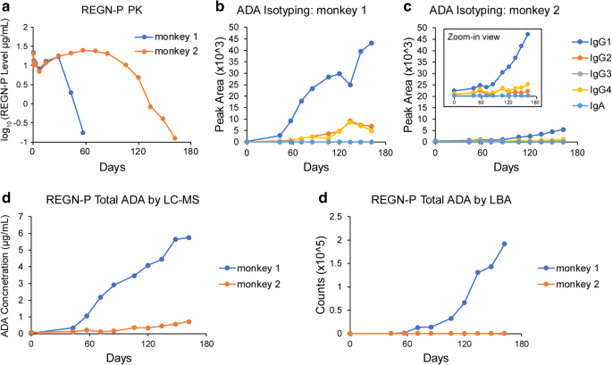 Isotyping And Semi Quantitation Of Monkey Anti Drug Antibodies By Immunocapture Liquid Chromatography Mass Spectrometry Springerlink