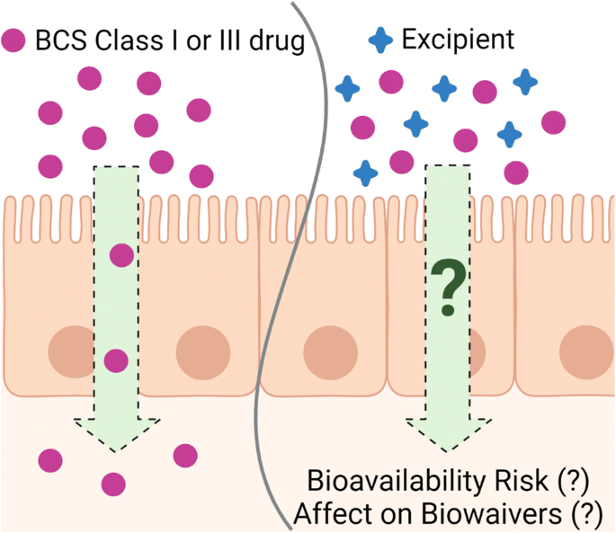Evaluation Of Excipient Risk In s Class I And Iii Biowaivers Springerlink