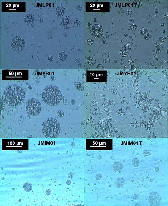 Development Of Clotrimazole Multiple W O W Emulsions As Vehicles For Drug Delivery Effects Of Additives On Emulsion Stability Springerlink