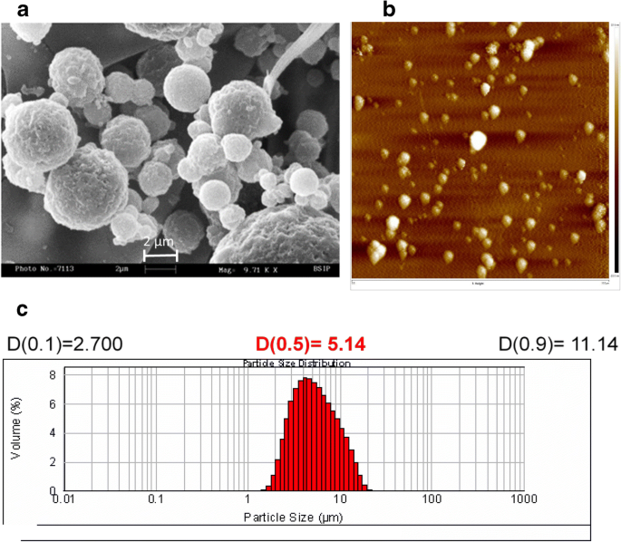 Alginate Microspheres Elicit Innate M1 Inflammatory Response In Macrophages Leading To Bacillary Killing Springerlink