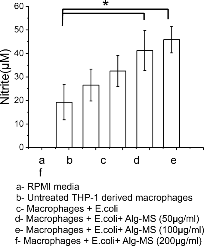 Alginate Microspheres Elicit Innate M1 Inflammatory Response In Macrophages Leading To Bacillary Killing Springerlink