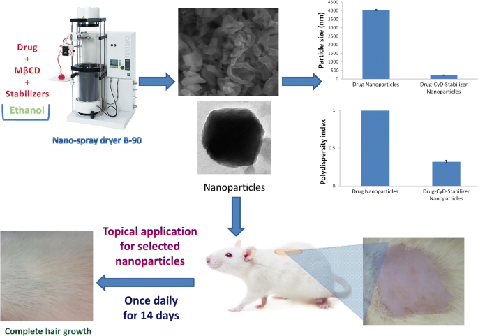 Spray-Dried Rosuvastatin Nanoparticles for Promoting Hair Growth |  SpringerLink