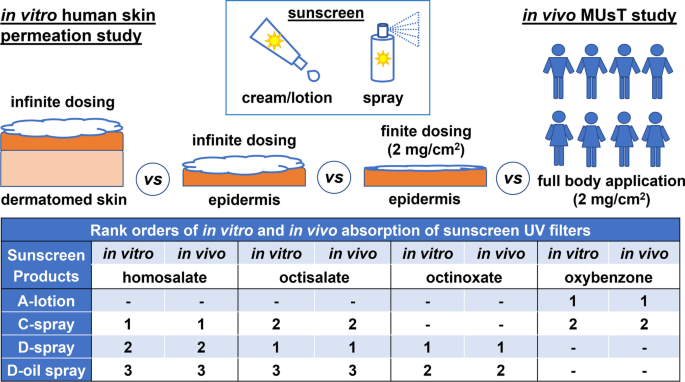 in vivo SPF testing of sunscreens