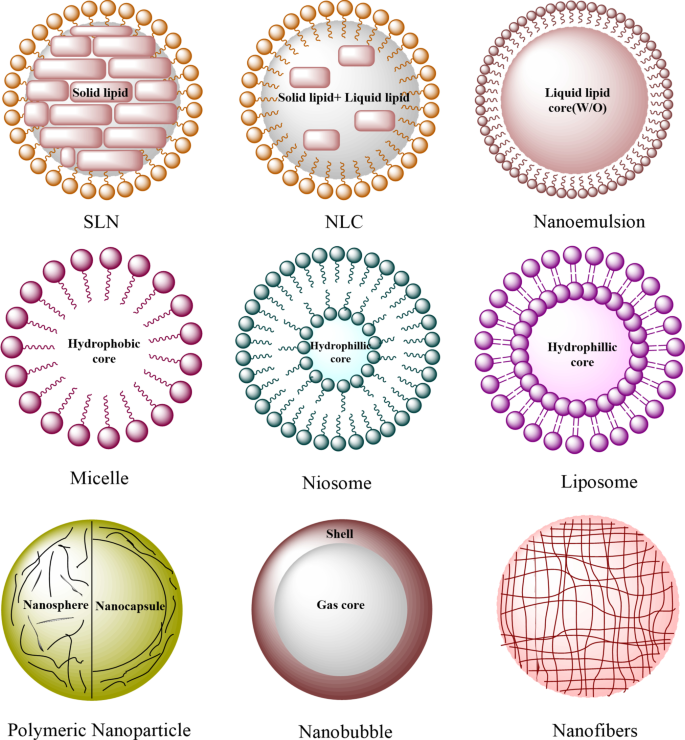 Nanodelivery Systems for Topical Management of Skin Disorders