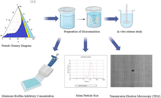 Design and Evaluation of Microemulsion-Based Drug Delivery Systems for ...