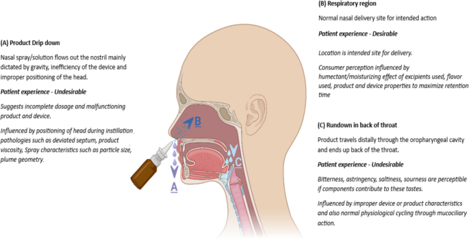 intranasal ipamorelin study PDF) Pharmacokinetic evaluation of and other peptidyl growth hormone secretagogues with emphasis on nasal absorption Injectable vs Nasal Spray Options