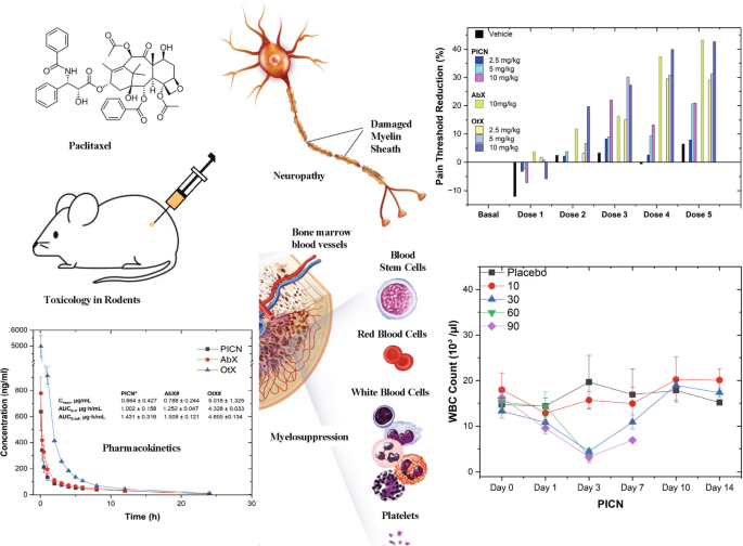 Preclinical Toxicity and Pharmacokinetic Evaluation of Paclitaxel ...