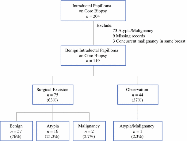 Intraductal papilloma tamoxifen. Intraductal papilloma estrogen, Les plathelminthes terrestres