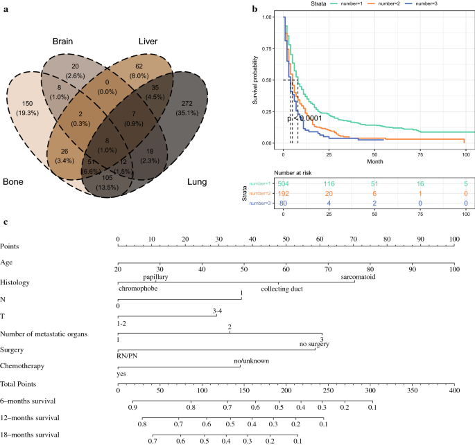 A Novel Nomogram Predicting the Overall Survival of Patients with  Metastatic Non-clear Cell Renal Cell Carcinoma: A Large Population-Based  Investigation | SpringerLink