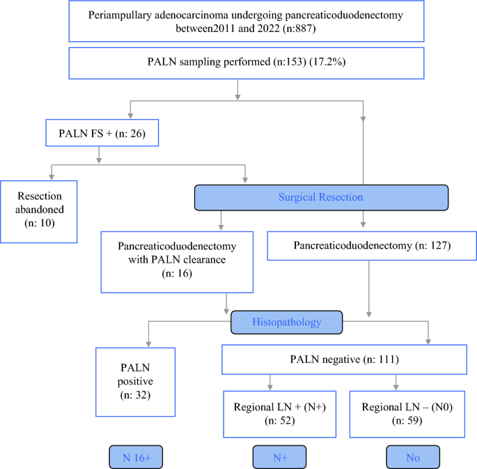 Prognostic Impact of Para-Aortic Lymph Node Metastasis in Resected Non ...