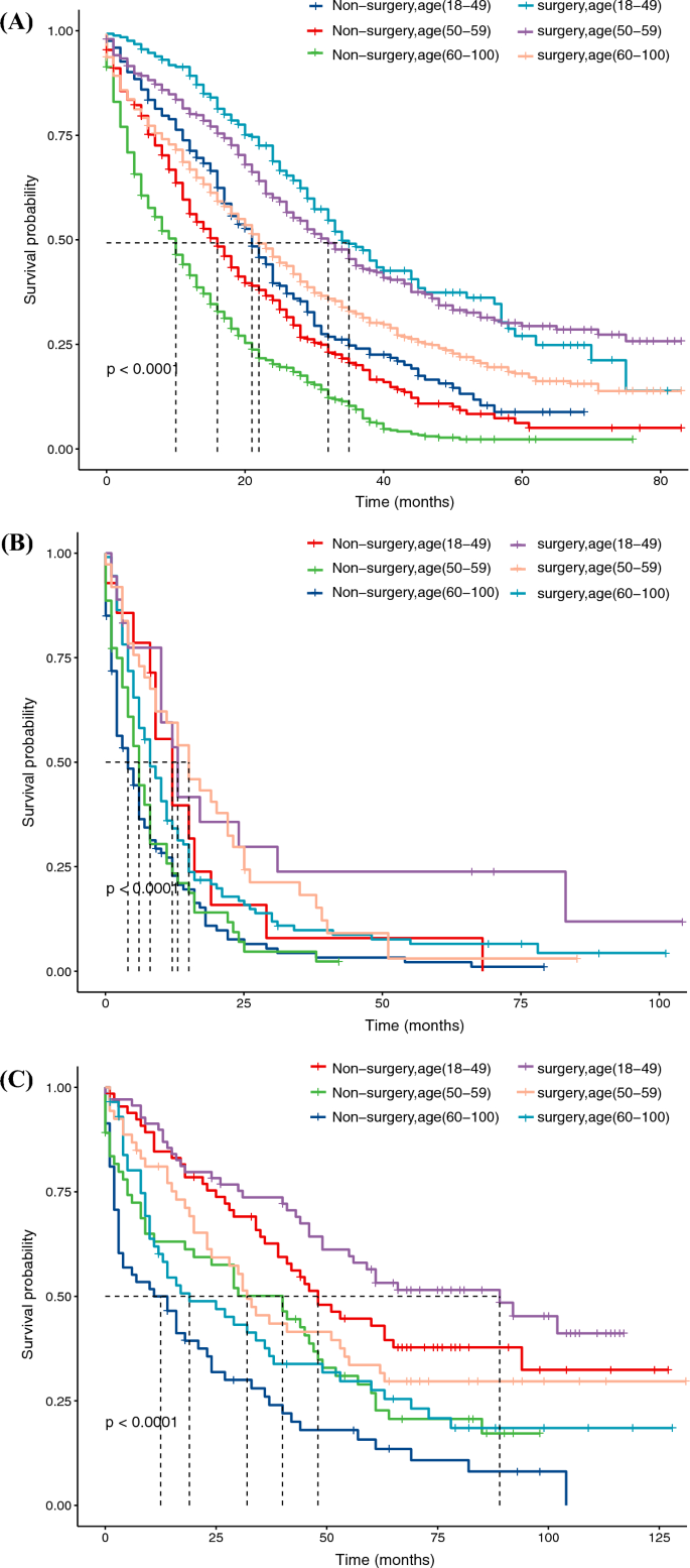 The Value of Primary Tumor Resection in Patients with Liver Metastases ...