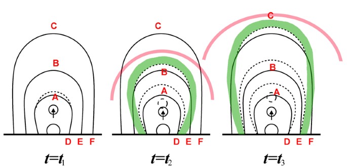 figure 44