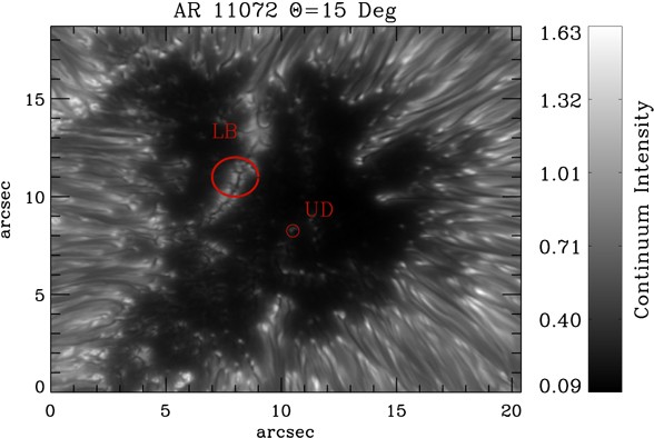 figure 20