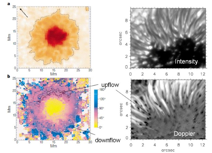 figure 32