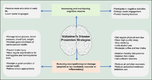 The Epidemiology of Alzheimer's Disease Modifiable Risk Factors and  Prevention | SpringerLink