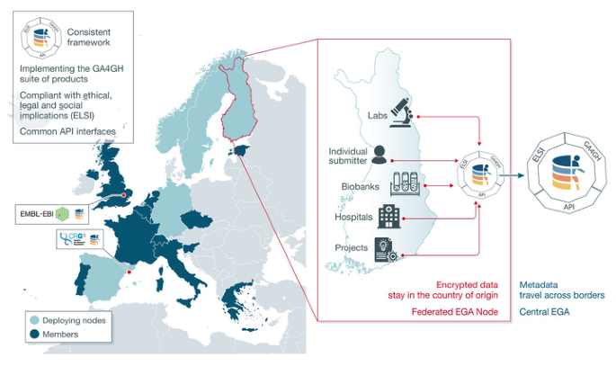 ELIXIR‐EXCELERATE: establishing Europe's data infrastructure for the ...
