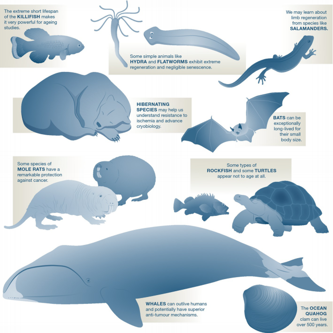 The big, the bad and the ugly | EMBO Reports | Springer Nature Link