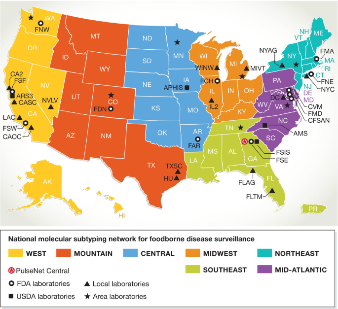 Future challenges for tracking foodborne diseases | EMBO Reports ...