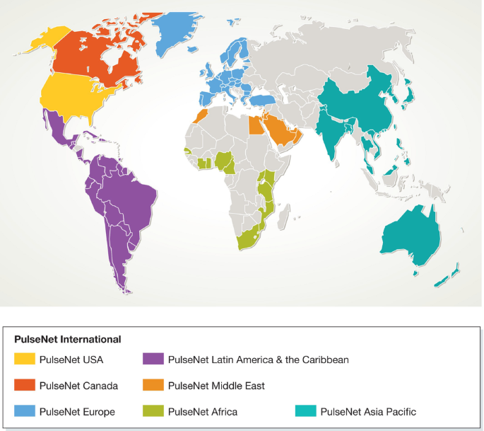 Future challenges for tracking foodborne diseases | EMBO Reports ...