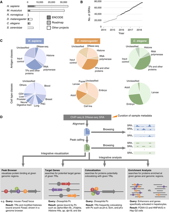公共の ChIP-Seq/DNase-Seq を用いた解析を行う ChIP-Atlas に関する論文が EMBO Reports 誌に掲載されました