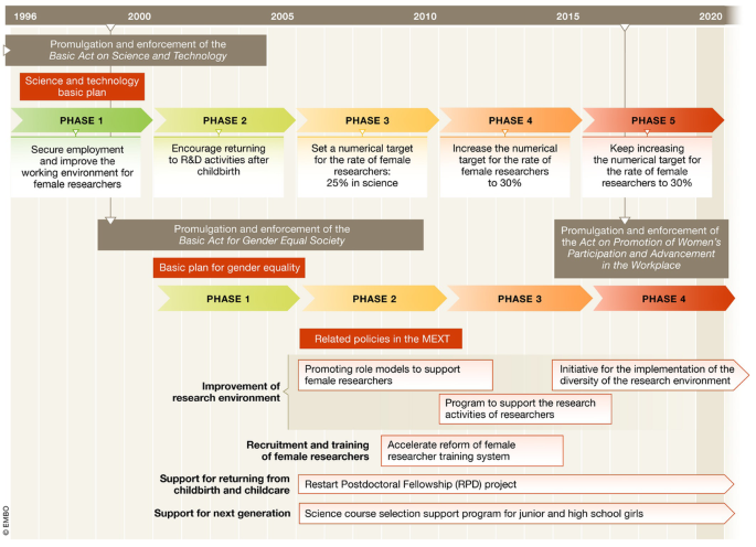 Nadeshiko revisited | EMBO Reports | Springer Nature Link
