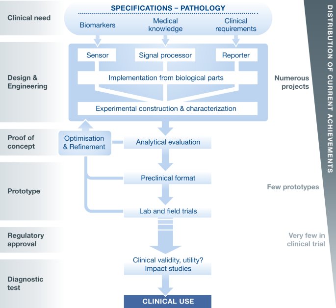 Bringing next‐generation diagnostics to the clinic through synthetic ...