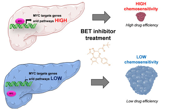 Gene expression profiling of patient‐derived pancreatic cancer ...