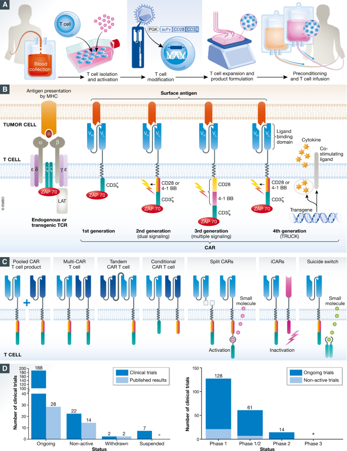 Clinical development of CAR T cells—challenges and opportunities in ...
