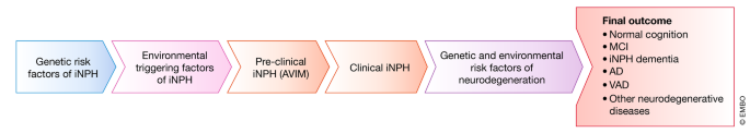 Inph Simple iNPH—the mystery resolving | EMBO Molecular Medicine | Springer Nature Link