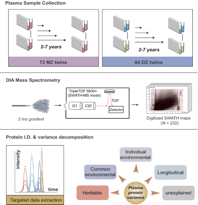 Quantitative variability of 342 plasma proteins in a human twin ...