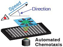 Using light to shape chemical gradients for parallel and automated ...