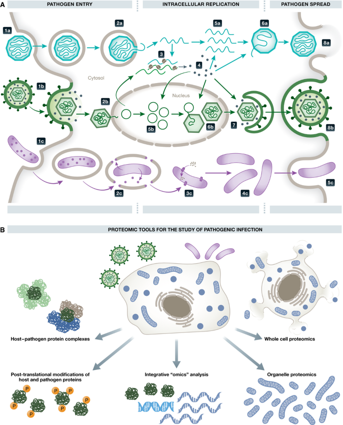 Proteomics and integrative omic approaches for understanding host ...