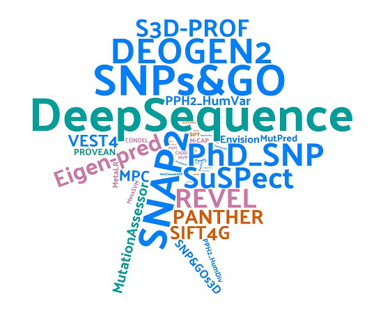 Using deep mutational scanning to benchmark variant effect predictors ...
