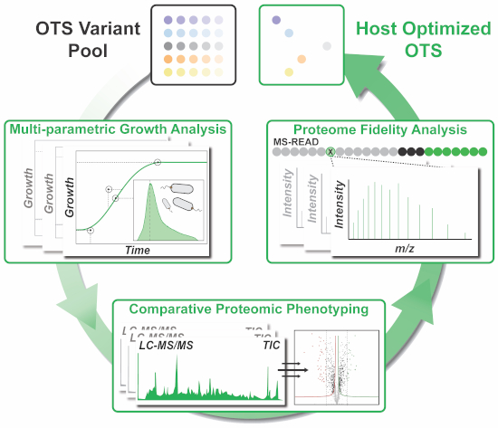 Ots Components System‐wide optimization of an orthogonal translation system with ...