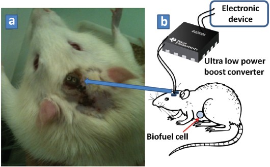 figure 13