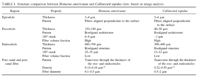 Image Analyses Of Two Crustacean Exoskeletons And Implications Of The Exoskeletal Microstructure On The Mechanical Behavior Springerlink Image Analyses Of Two Crustacean Exoskeletons And Implications Of The Exoskeletal Microstructure On The Mechanical Behavior Springerlink