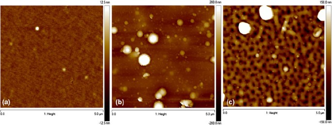 Synthesis and texturization processes of (super)-hydrophobic fluorinated  surfaces by atmospheric plasma, Journal of Materials Research