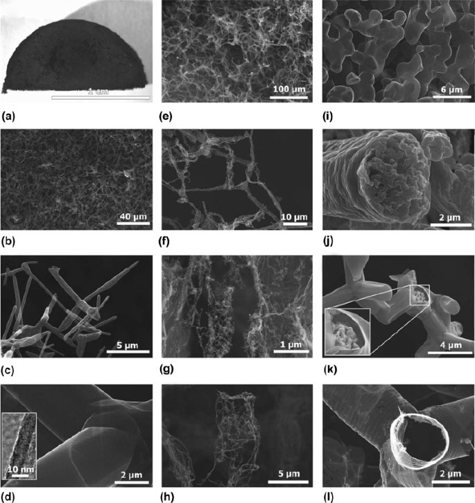 Carbon Aerogel Evolution Allotrope Graphene Inspired And 3d Printed Aerogels Springerlink