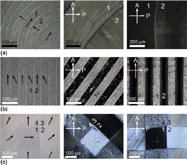 Self Organized Wrinkling Of Liquid Crystalline Polymer With Plasma Treatment Springerlink Self Organized Wrinkling Of Liquid Crystalline Polymer With Plasma Treatment Springerlink
