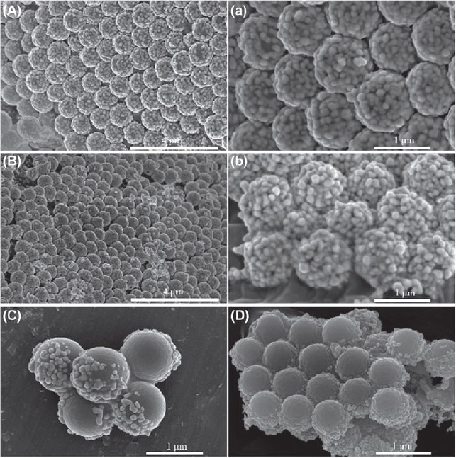 Fabrication Of 3d Wax Silica Ag Au Colloidosomes As Surface Enhanced Raman Spectroscopy Substrates Based On Pickering Emulsion And Seed Mediated Growth Method Of Noble Metal Nanoparticles Springerlink