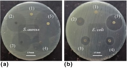 Study Of A Luminescent And Antibacterial Biomaterial Based On Hydroxyapatite As Support For An Antineoplastic Drug Springerlink