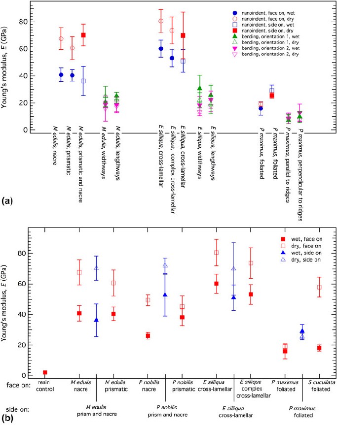 Deconvolution Of The Elastic Properties Of Bivalve Shell Nanocomposites From Direct Measurement And Finite Element Analysis Springerlink